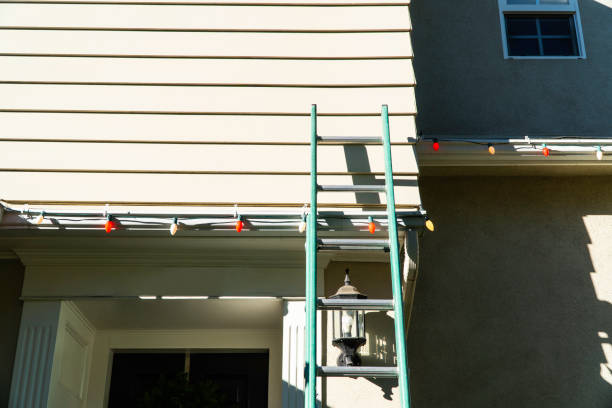 Best Custom Trim and Detailing for Siding  in Fruitport, MI