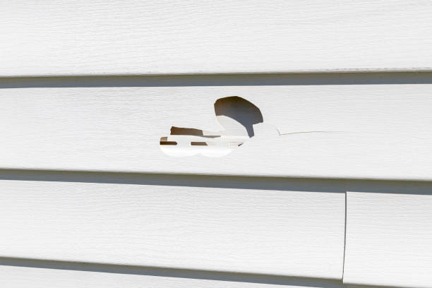 Best Siding Repair  in Fruitport, MI