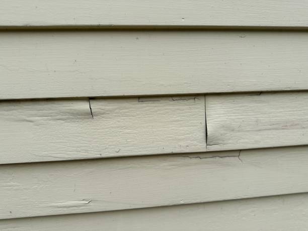 Siding for Multi-Family Homes in Fruitport, MI