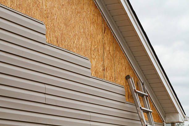 Best Vinyl Siding Installation  in Fruitport, MI